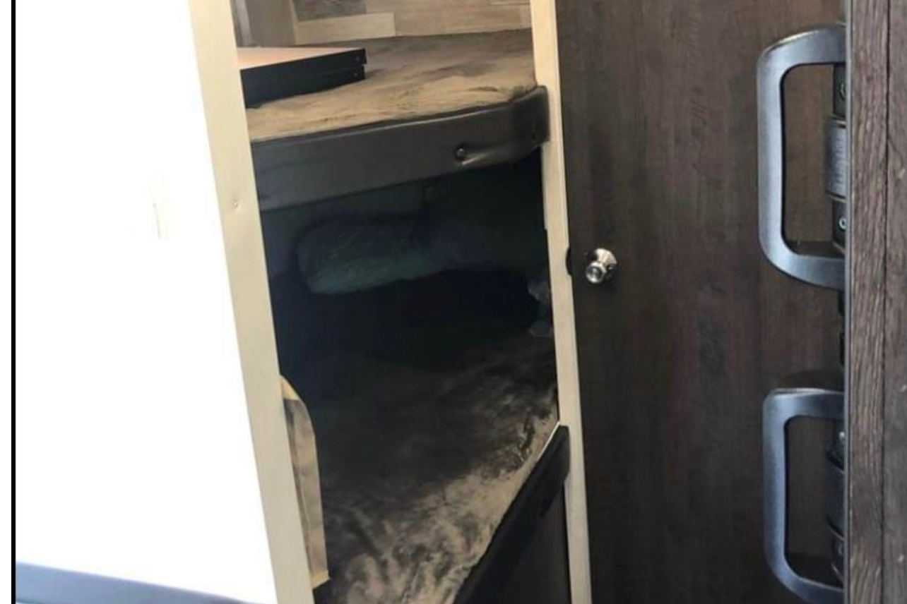 Trevor's Salem Forest river Travel Trailer