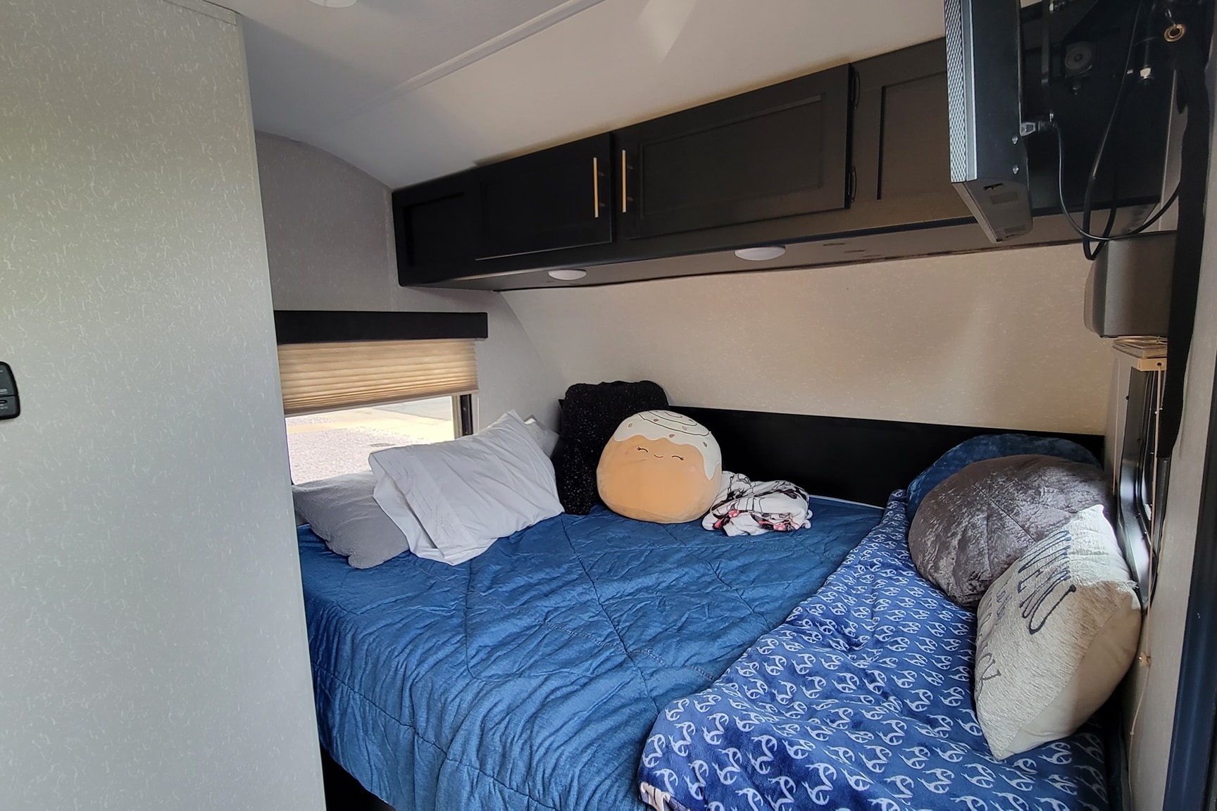 Robyn's Forest River CHEROKEE WOLF PUP Travel Trailer