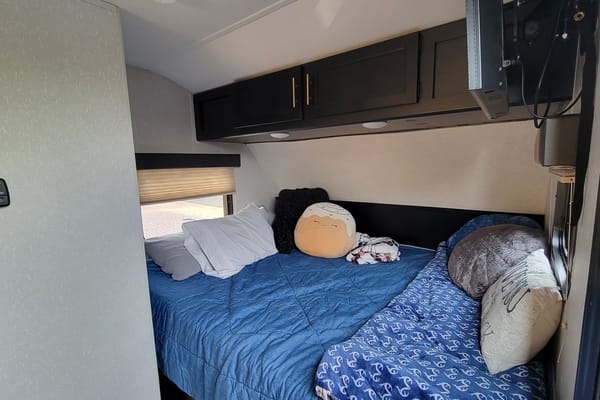 Robyn's Forest River CHEROKEE WOLF PUP Travel Trailer