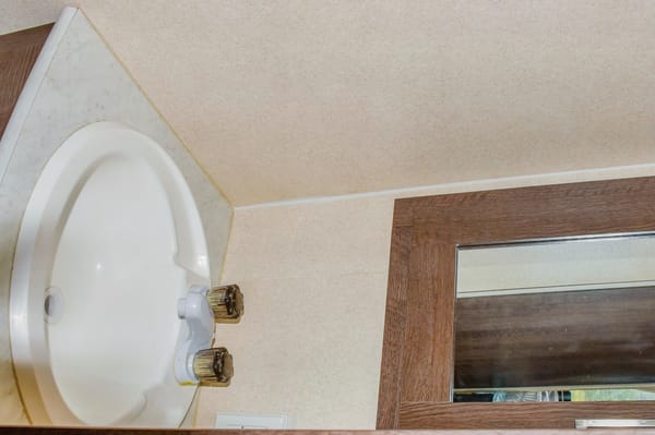 Jessica's 2020 Forrest-River 26bh "The Enterprise" Forrest-River 26bh Travel Trailer
