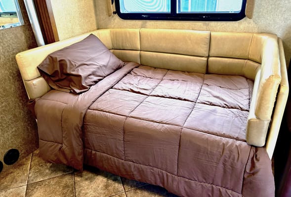 DAVID's Thor Motor Coach ace 30.1 Class A