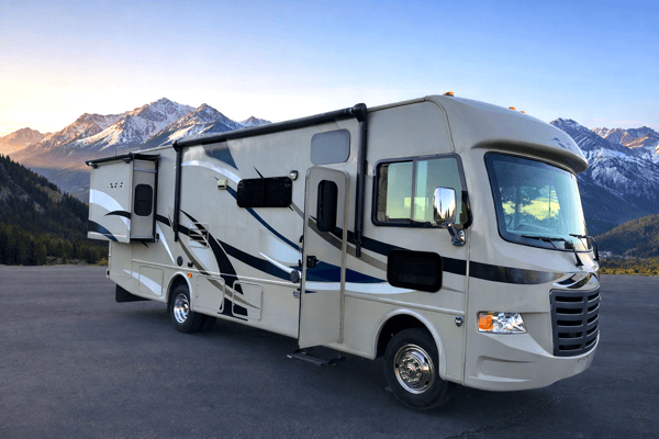 DAVID's Thor Motor Coach ace 30.1 Class A