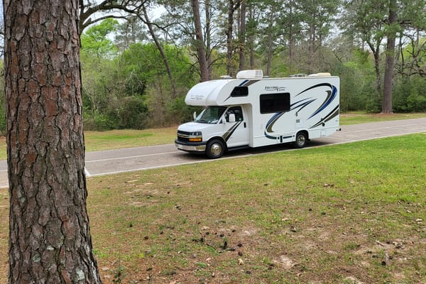 RV Trippin - "Penny" - Thor Freedom Elite