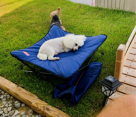 Glamping Made Easy! Full Size Bathroom!! Pet Friendly