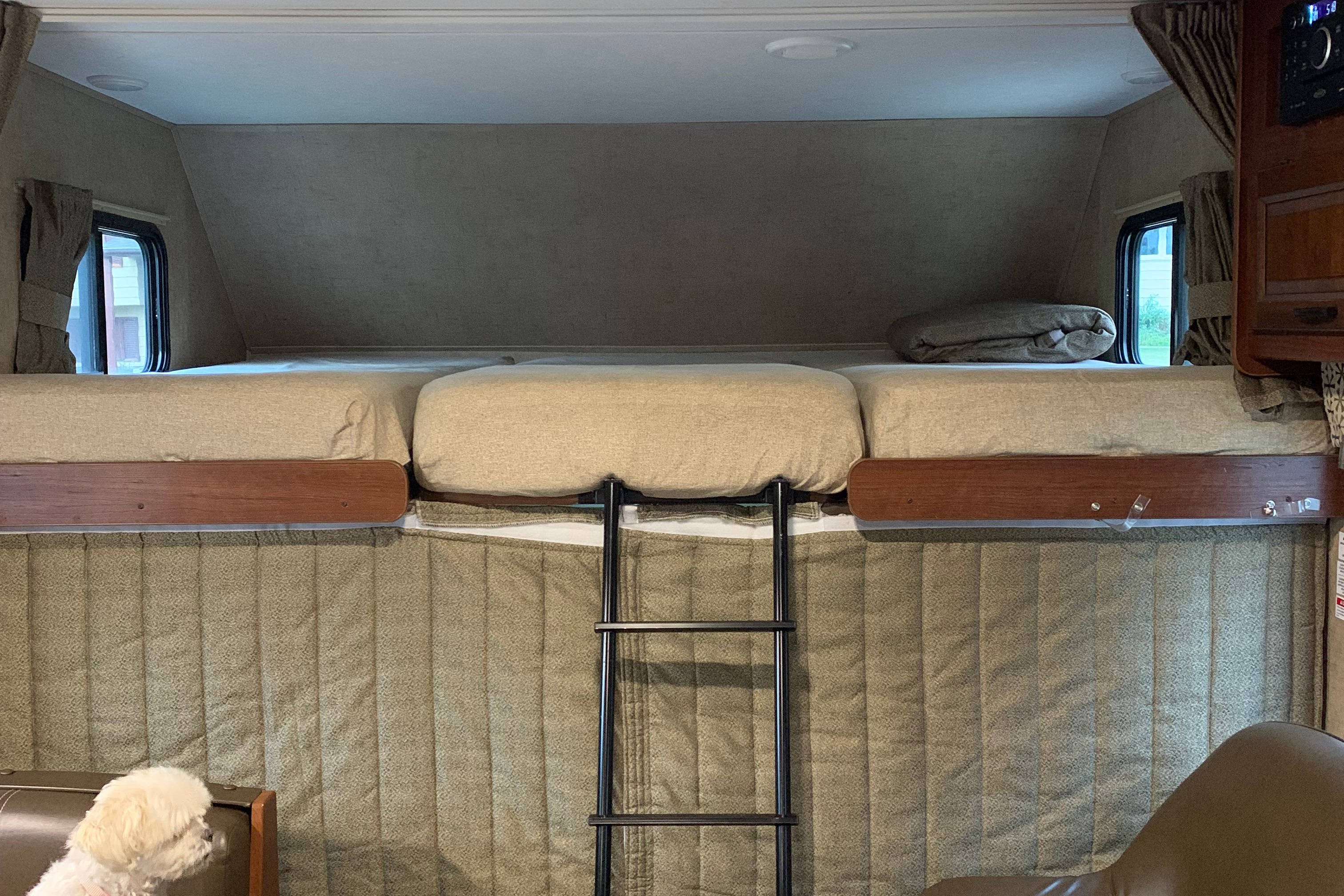 Little Missy's Forest River Sunseeker 2650S-CDW Class C