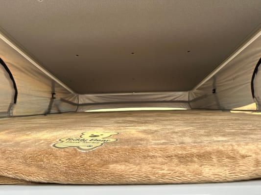 Syl’s Entegra ETHOS 20D Class B