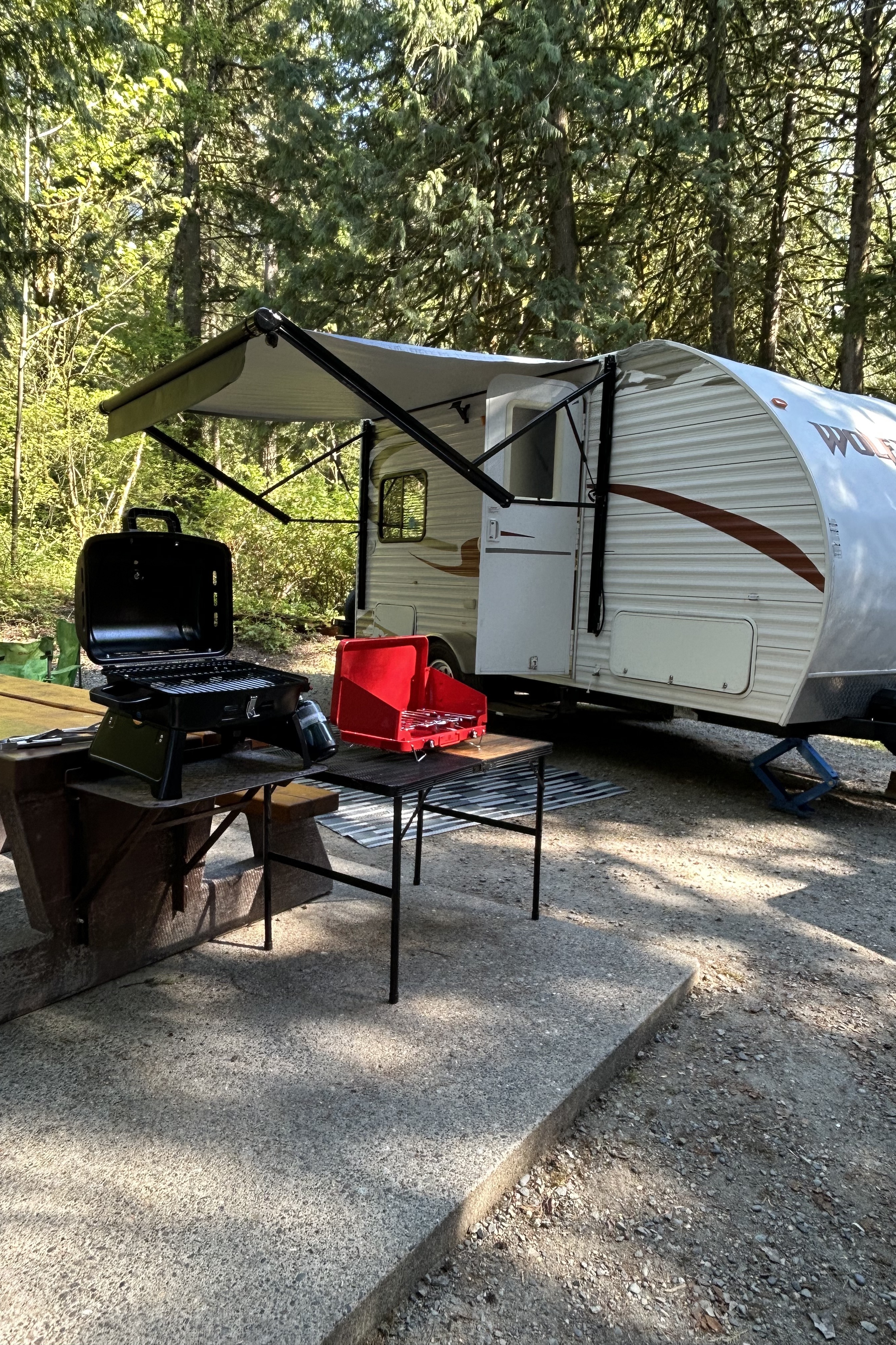 Brenda's Forest River Wolf Pup Travel Trailer