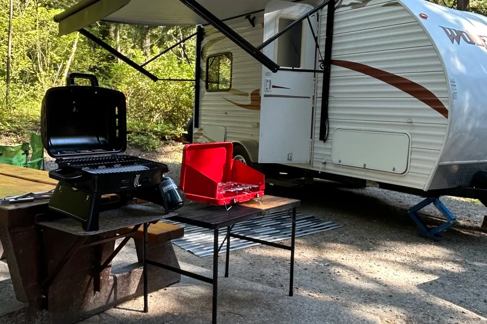 Brenda's Forest River Wolf Pup Travel Trailer
