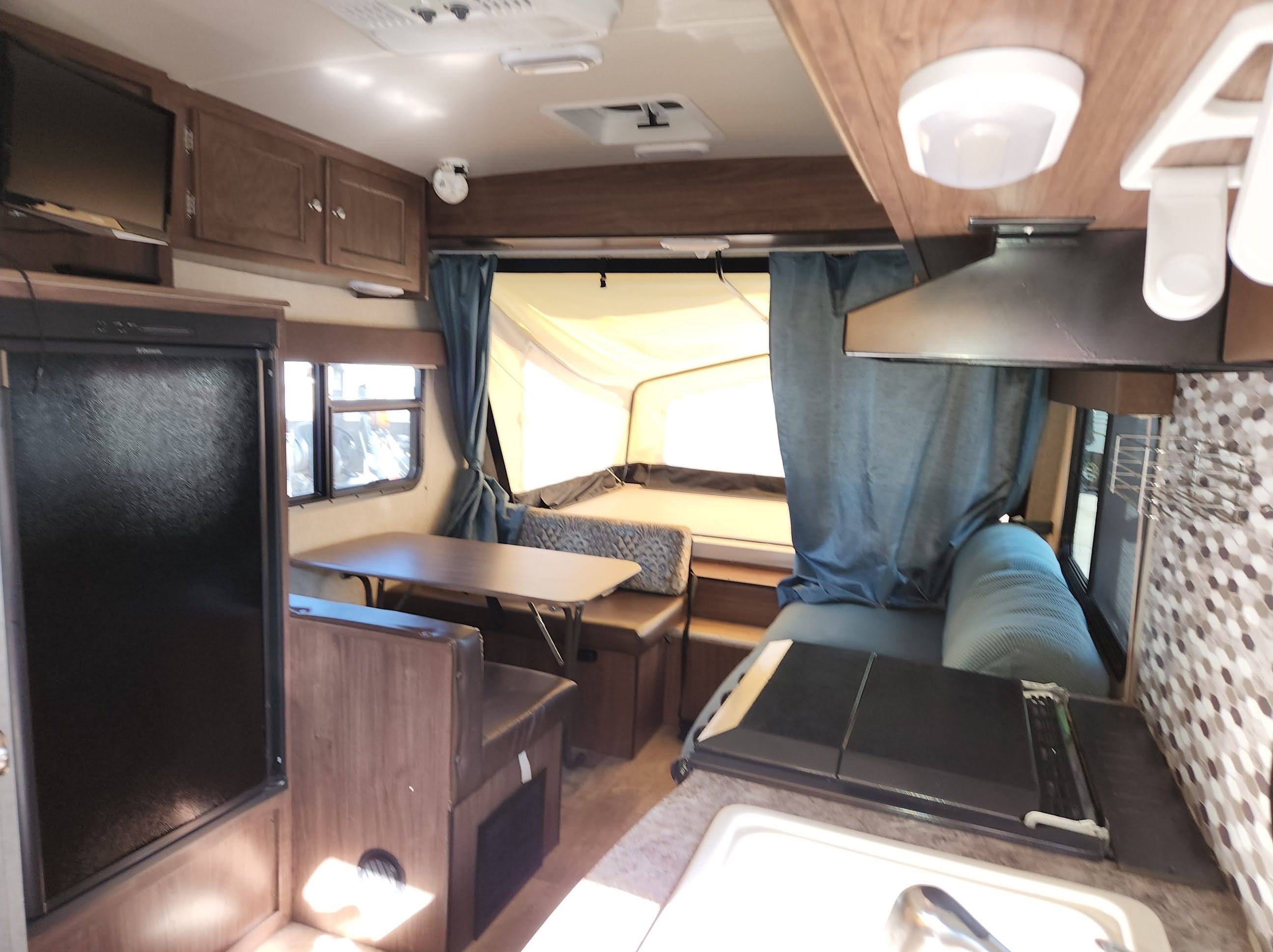 Amy's Hybrid Palomino Solaire 147x
