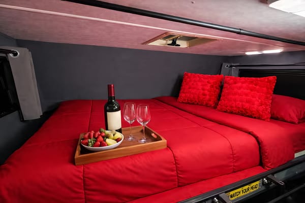 Meet “Wander” – Easy, Clean, Renovated 19' RV for New Travelers