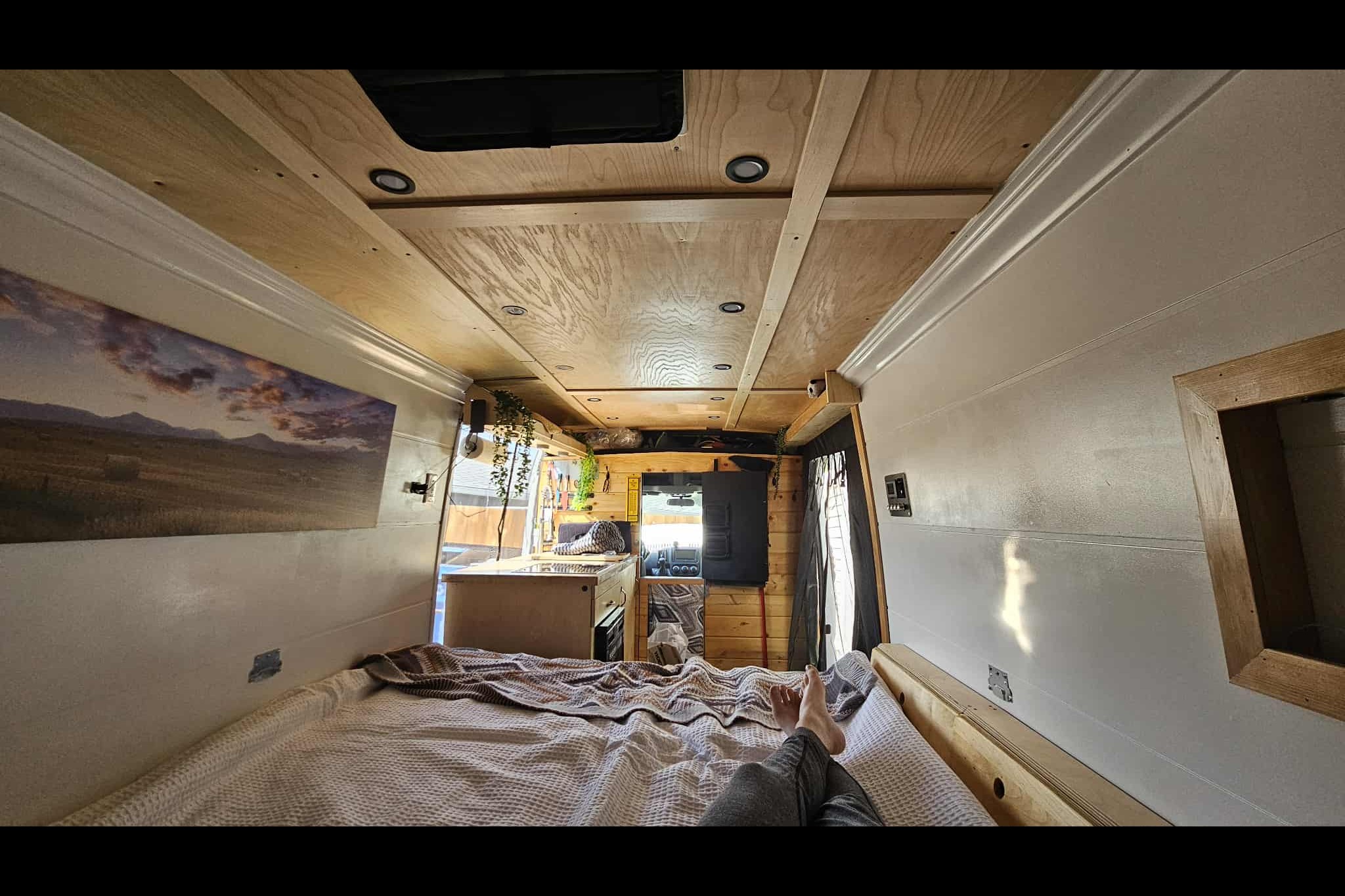 The Roaming Tabby Camper Van