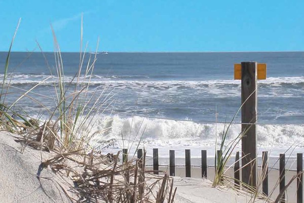 Paws & Relax: Your Pet-Friendly Camper Adventure Awaits!