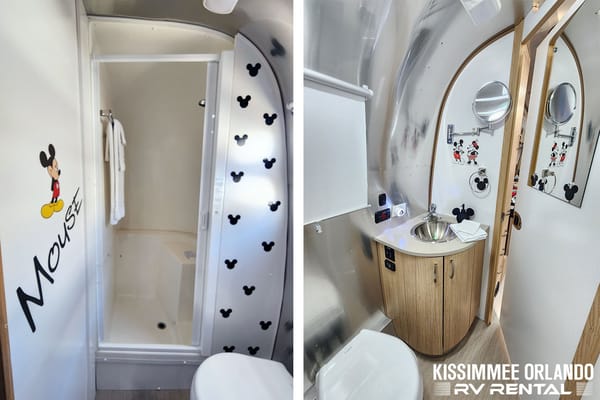 Airstream Retro Mickey Themed Travel Trailer