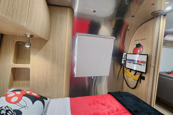 Airstream Retro Mickey Themed Travel Trailer