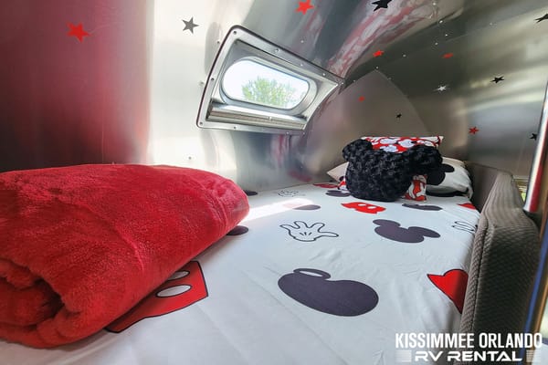 Airstream Retro Mickey Themed Travel Trailer