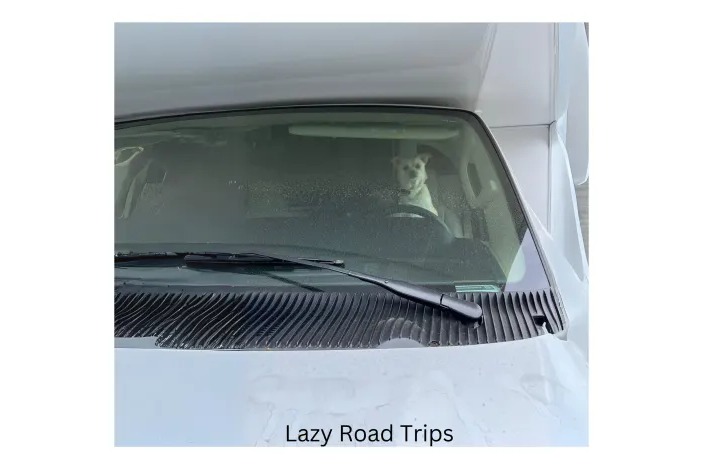 LazyRoadTrips Glamping in Our 2024 Premier RV