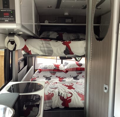 Penelope Safari Condo XL Flex Classe B