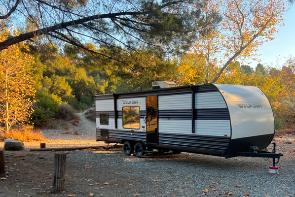 BRAND NEW 2024 29ft Light Weight Sleeps 8 Forest River Travel Trailer