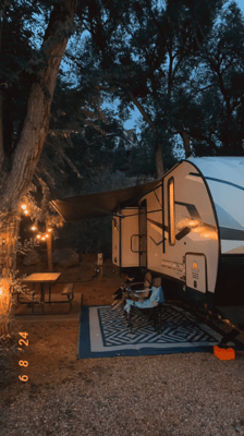 Esperanza's Forest River Alpha Wolf Travel Trailer