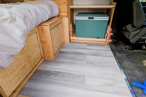 Shoebill Carpenter (Express 2008)