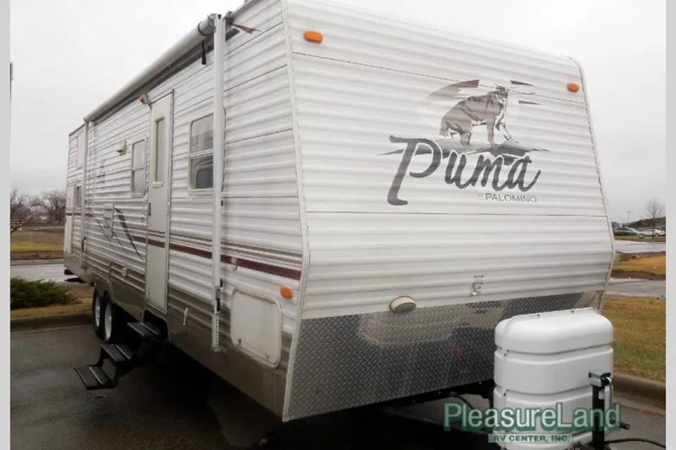 Palomino - Puma