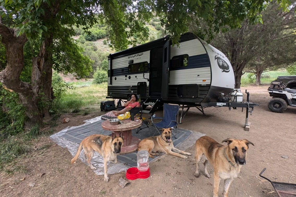  SUV Towable & PET Lovers - 2023 Forest River Cherokee Wolf Pup 