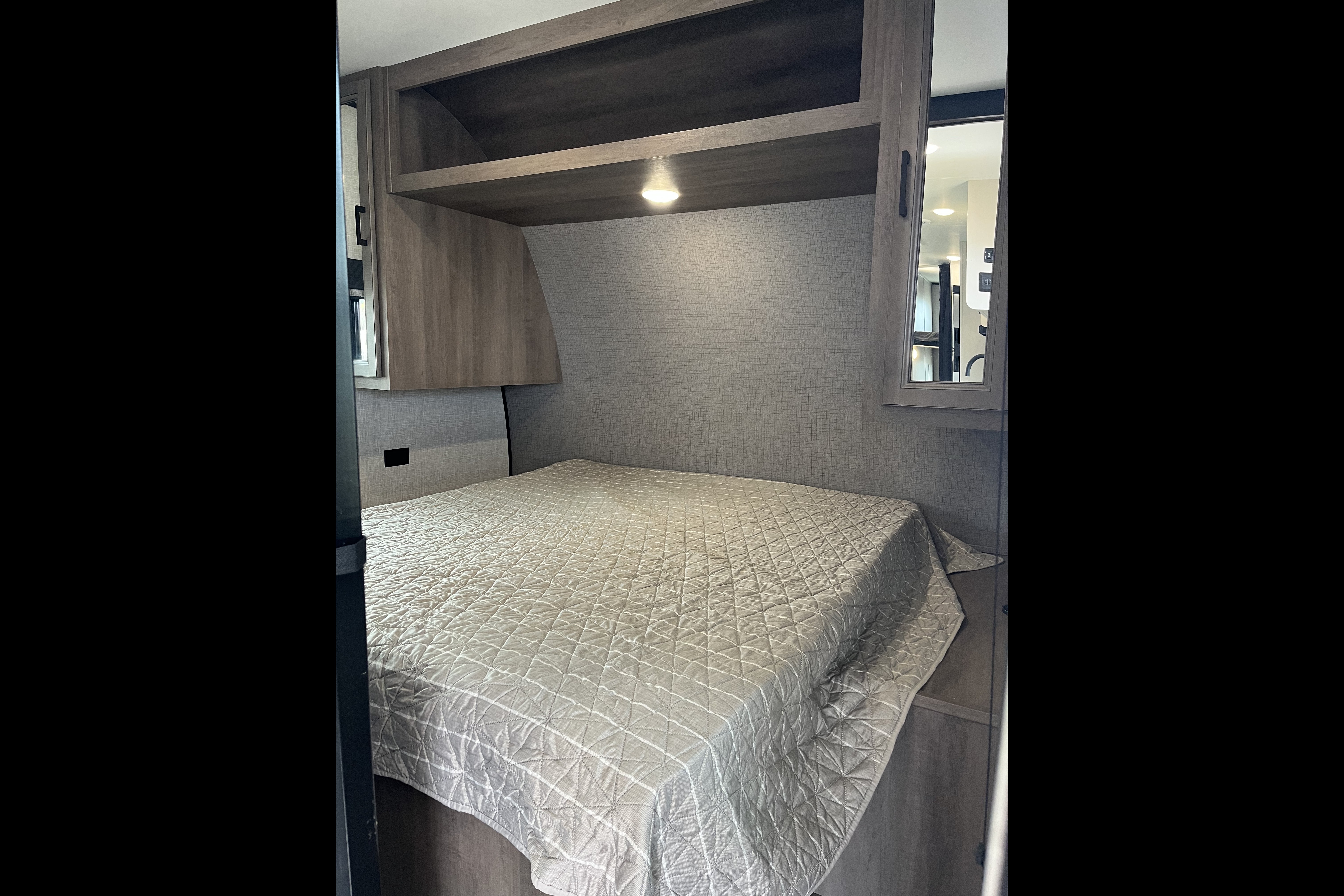 Blue Spruce