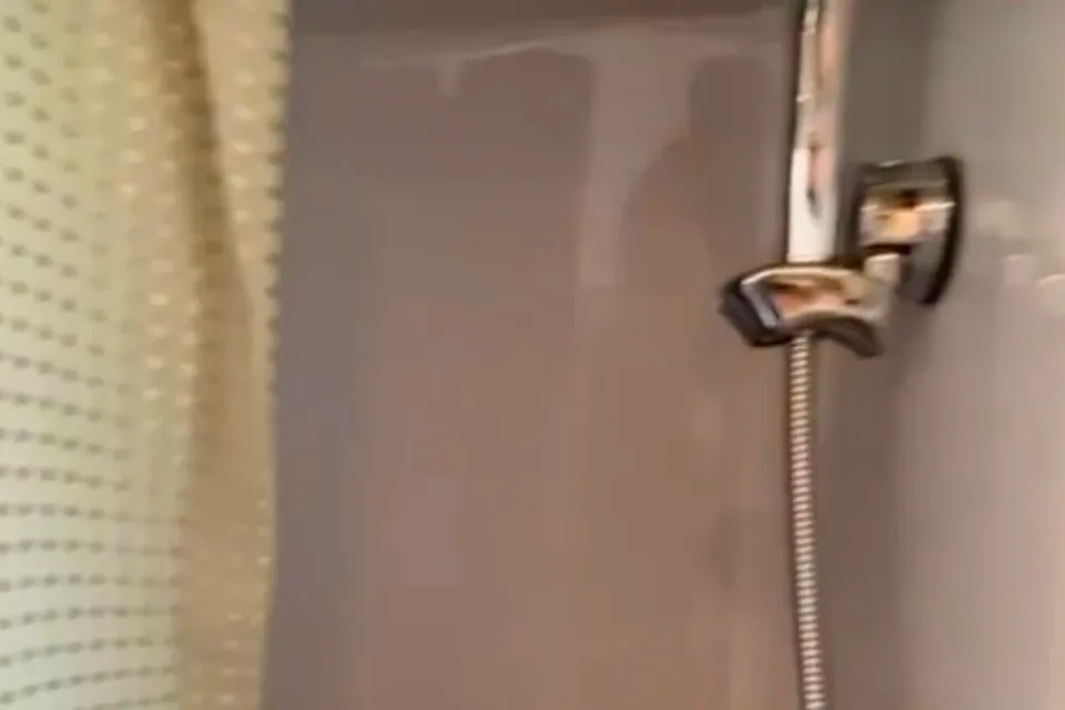 Zénitude