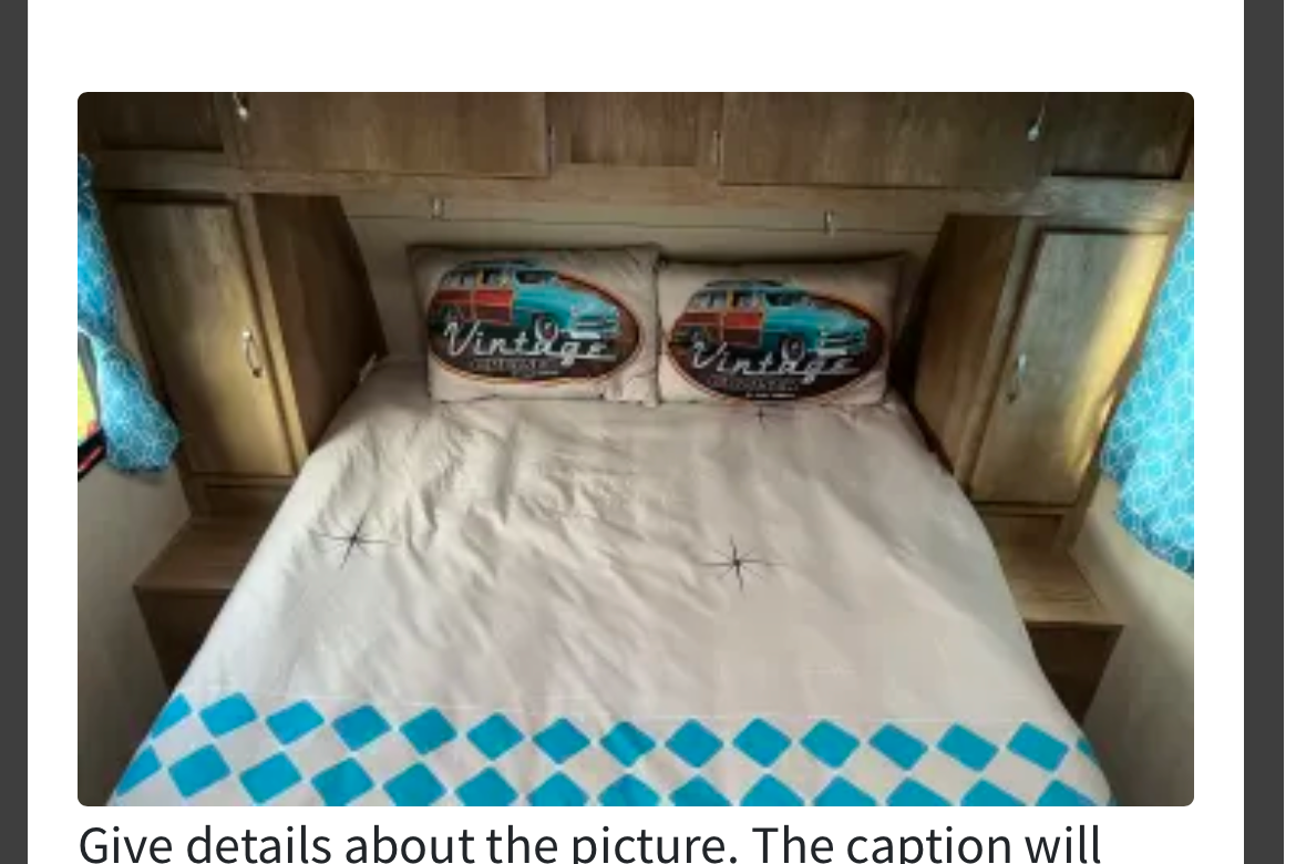 "RETRO VOYAGER" 2023 Gulf Stream Vintage Cruiser 19ERD Travel Trailer