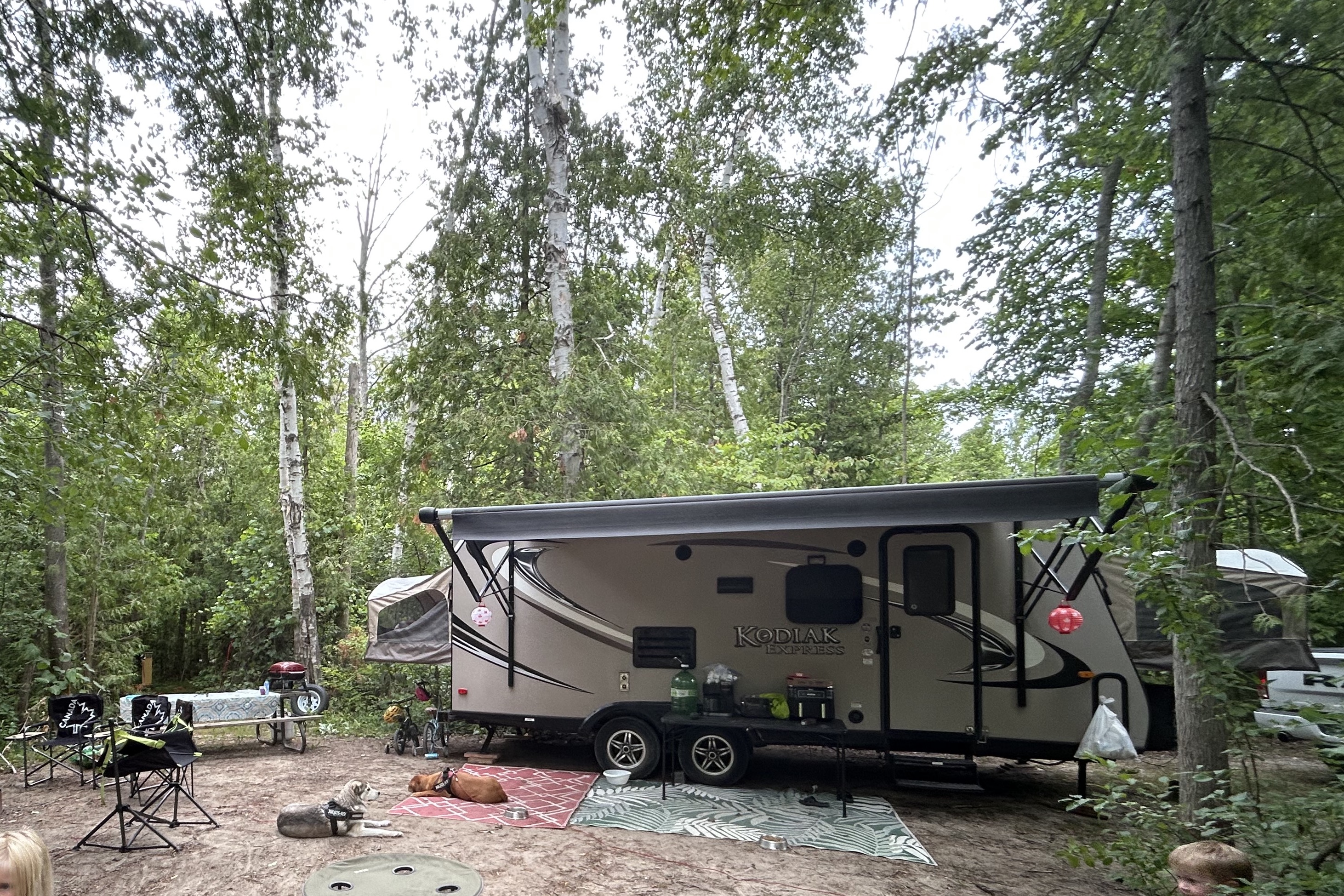 Adrian's Dutchmen 216ES Hybrid