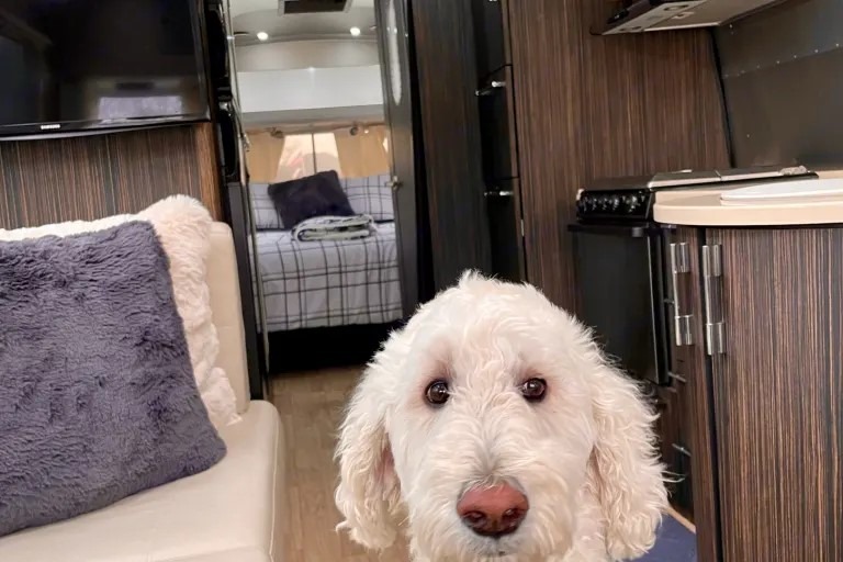 Airstream International Serenity 27FB