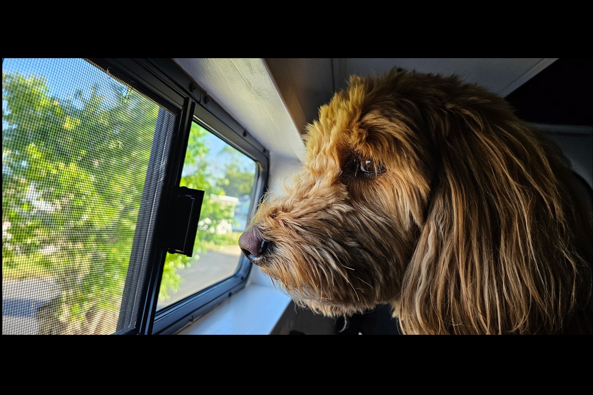 Luna Sea Adventure Van -AC&Heater- Solar-Dog Friendly/Fully Stocked-Off Grid