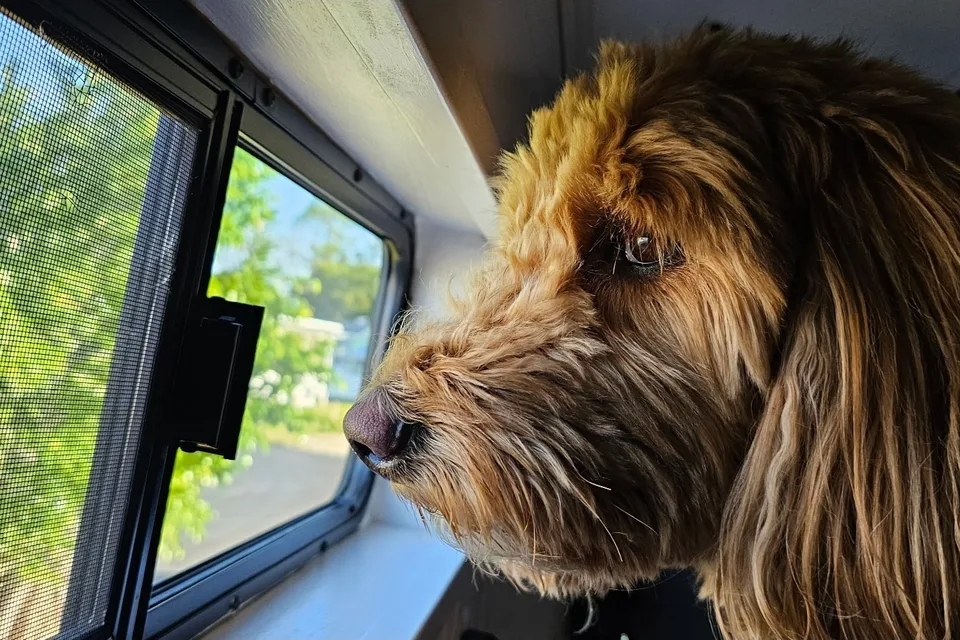 Luna Sea Adventure Van -AC&Heater- Solar-Dog Friendly/Fully Stocked-Off Grid
