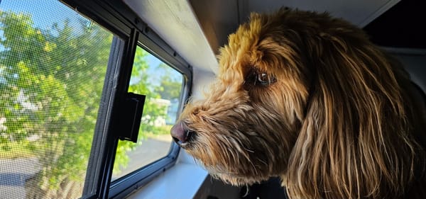 Luna Sea Adventure Van -AC&Heater- Solar-Dog Friendly/Fully Stocked-Off Grid