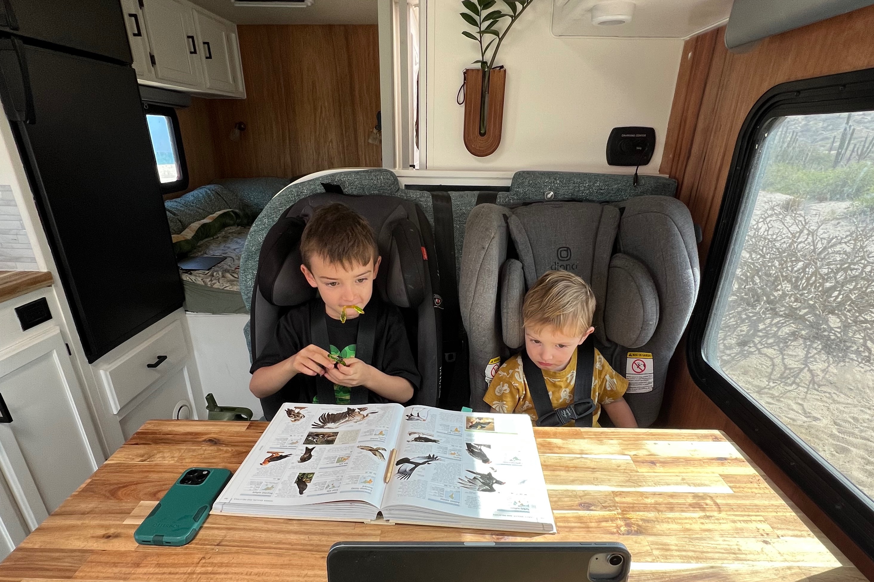 TakeMeOverland's RV