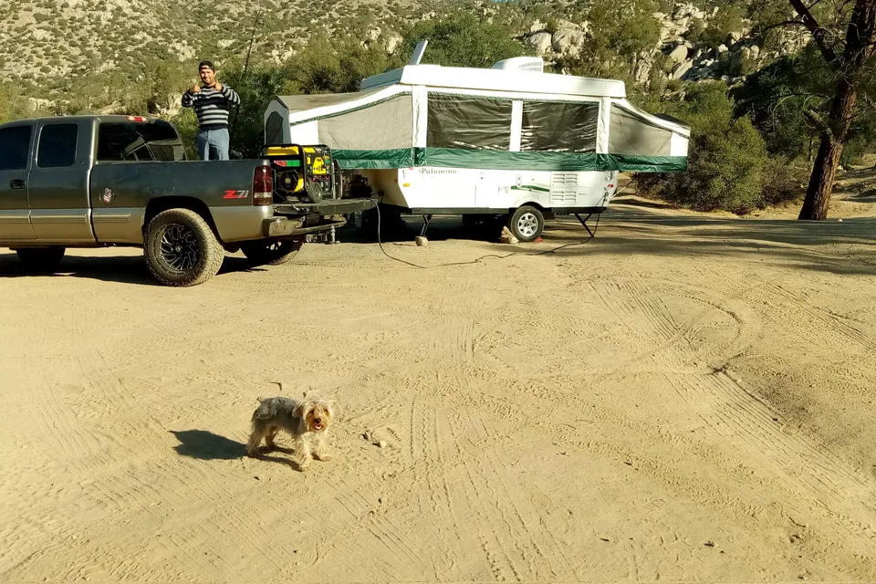 Tony's Palomino Y series Tent Trailer