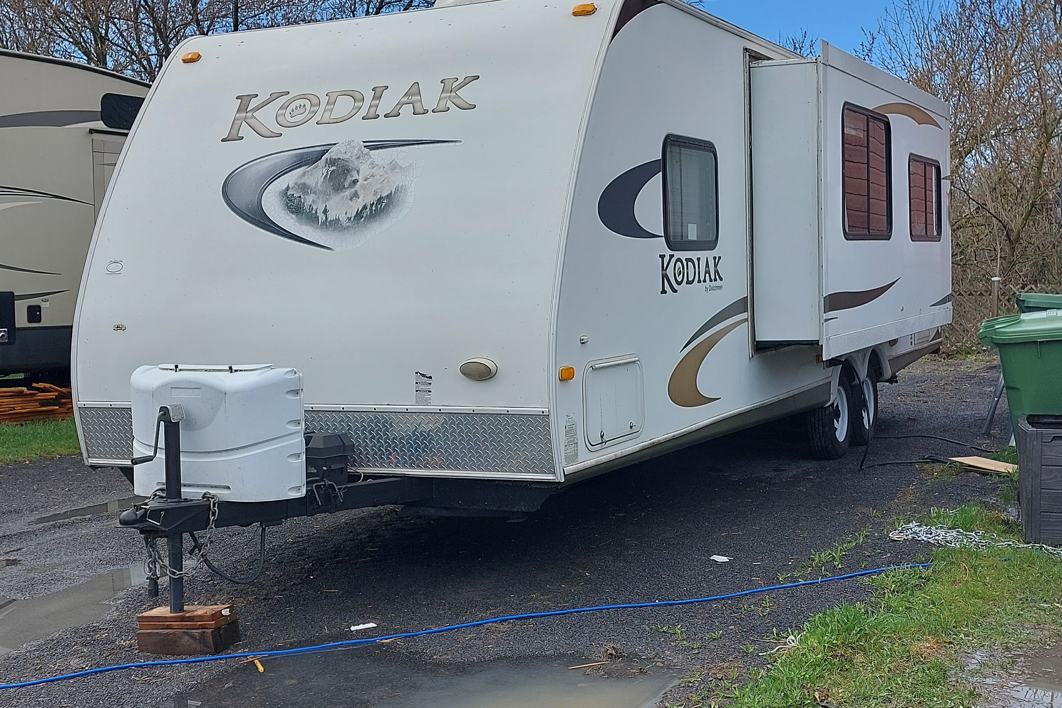 Kodiak Dream