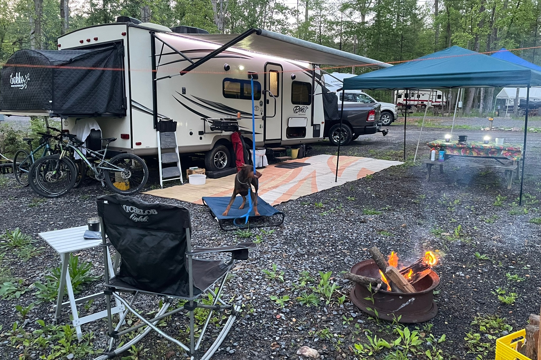 RooTang Clan- Family Camping Adventures Await!