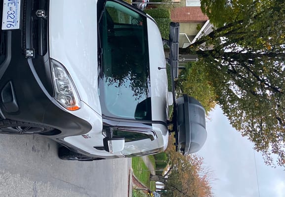 David the Dodge