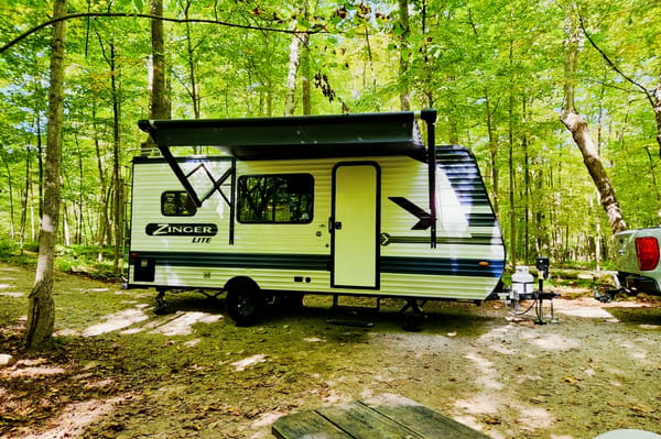 Ziggy the Zinger Lite 18RK Travel Trailer