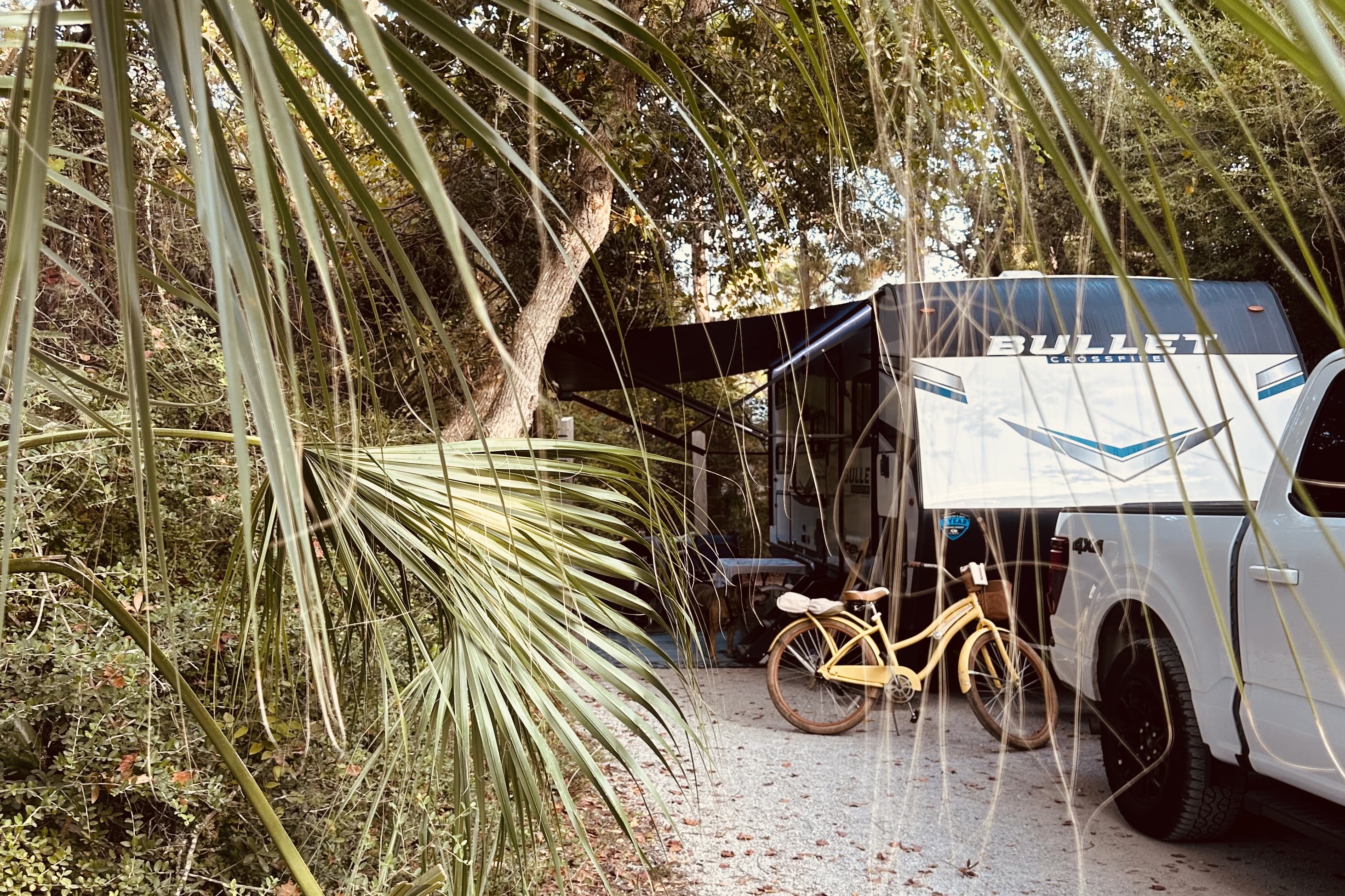 Happy Glamping w/ Campfire Reverie