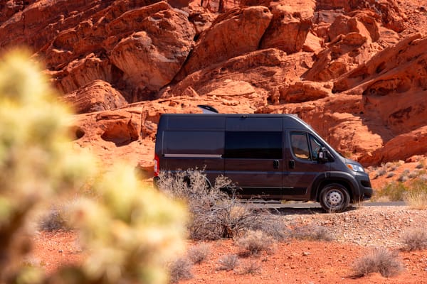 "Pepper" - 2023 Custom RAM Promaster