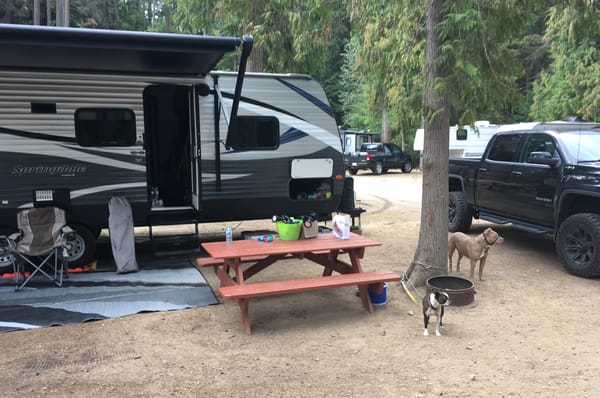 Gone Camping
