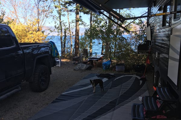Gone Camping