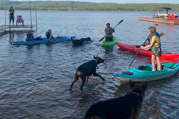 Pet friendly Bunkie with Queen