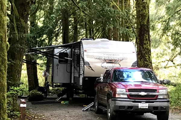 Derek's Forest river 27 trez Travel Trailer