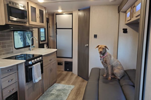 "Frieda" Coachmen Freedom Express Travel Trailer