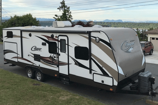 Paradise Cruiser