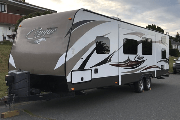 Paradise Cruiser