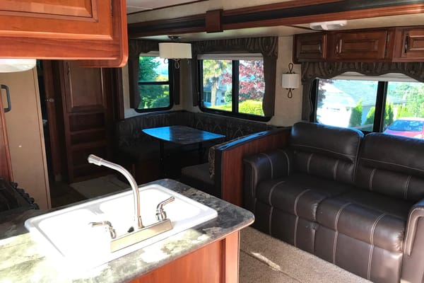 Paradise Cruiser